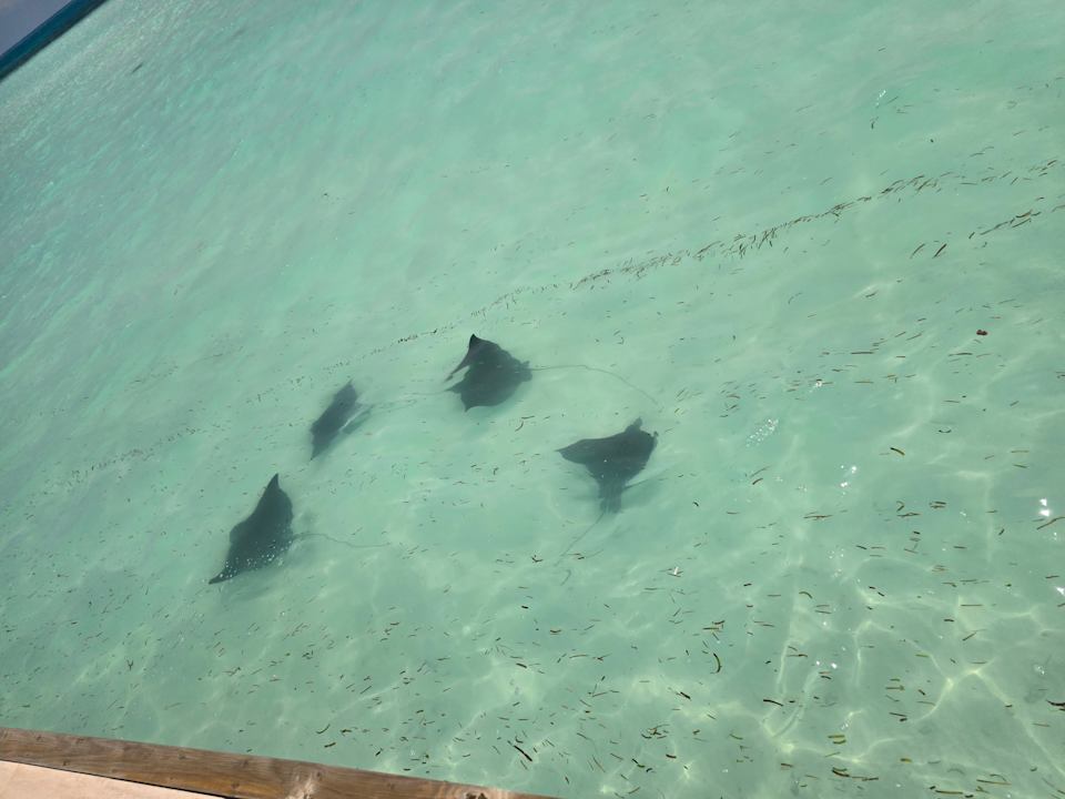 Strand Jawakara Islands Maldives