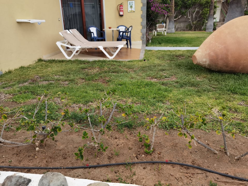 Gartenanlage HL Miraflor Suites Hotel