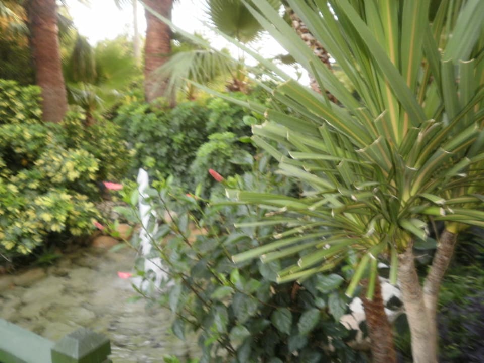 Oczko wodne Labranda Alantur Resort