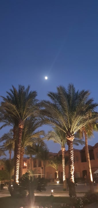 Außenansicht Jaz Makadi Oasis Resort