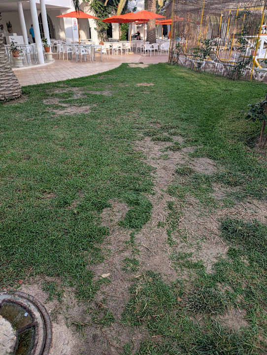 Gartenanlage Shalimar Hammamet