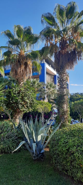 Ausblick Gardenia Hotel