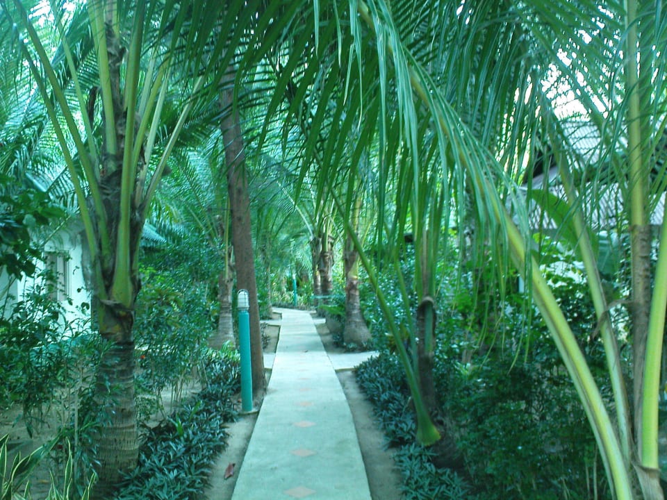 Anlage Hotel Lanta Island Resort