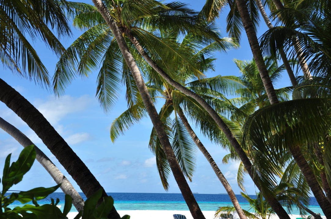 Strand Fihalhohi Maldives