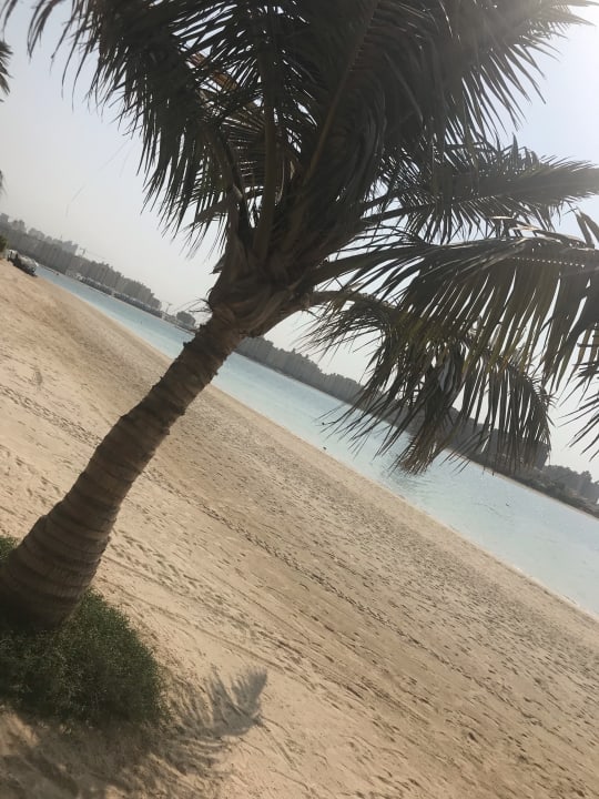 Strand Aloft Palm Jumeirah