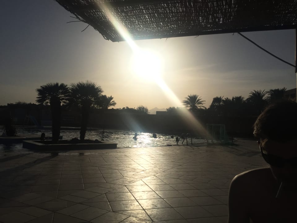 Pool Eagles Paradise Abu Soma