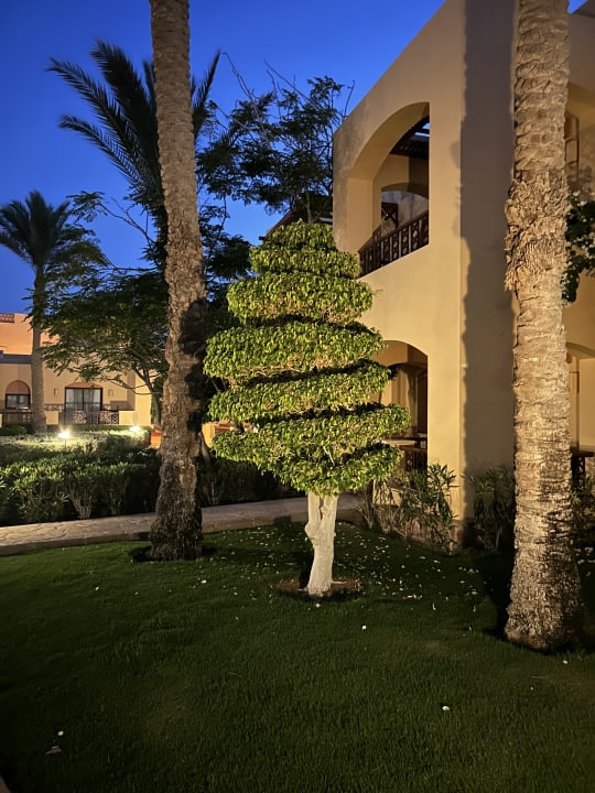 Gartenanlage Steigenberger Coraya Beach - Adults only