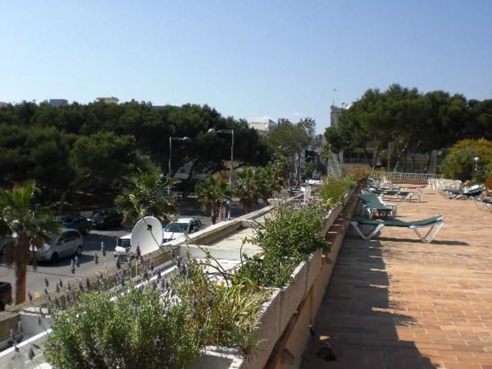 Liegewiese Pool Aparthotel Houm Plaza Son Rigo