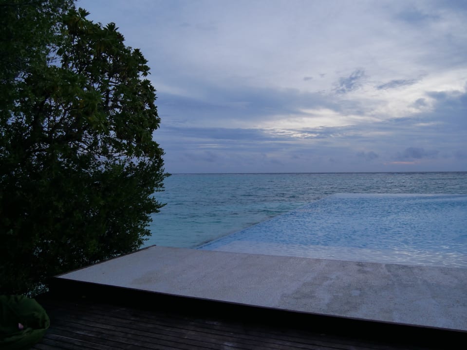 Pool Summer Island Maldives