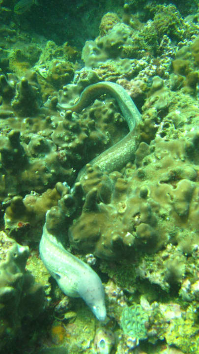 Sport & Freizeit Wyndham Garden Salalah Mirbat