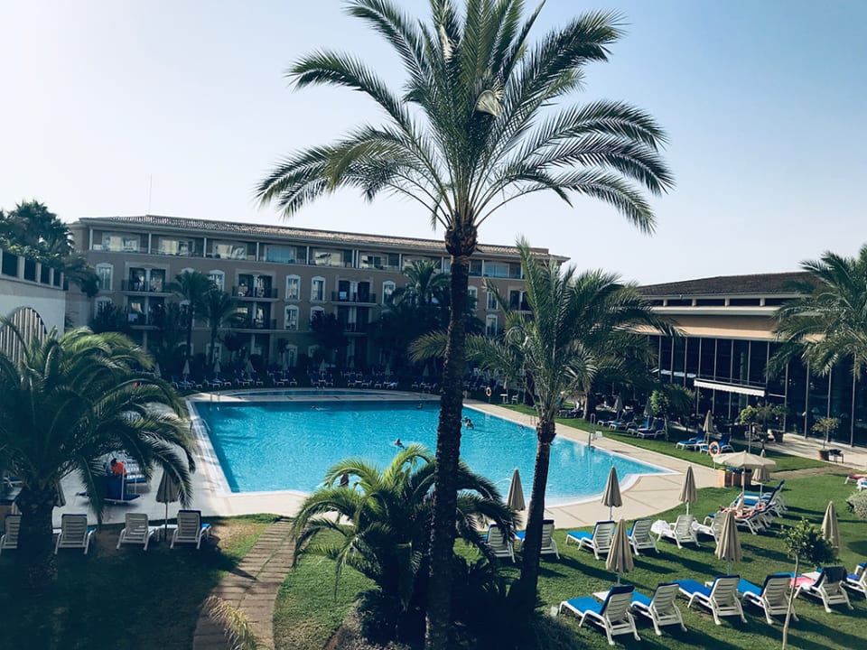 Pool Grupotel Playa de Palma Suites & Spa