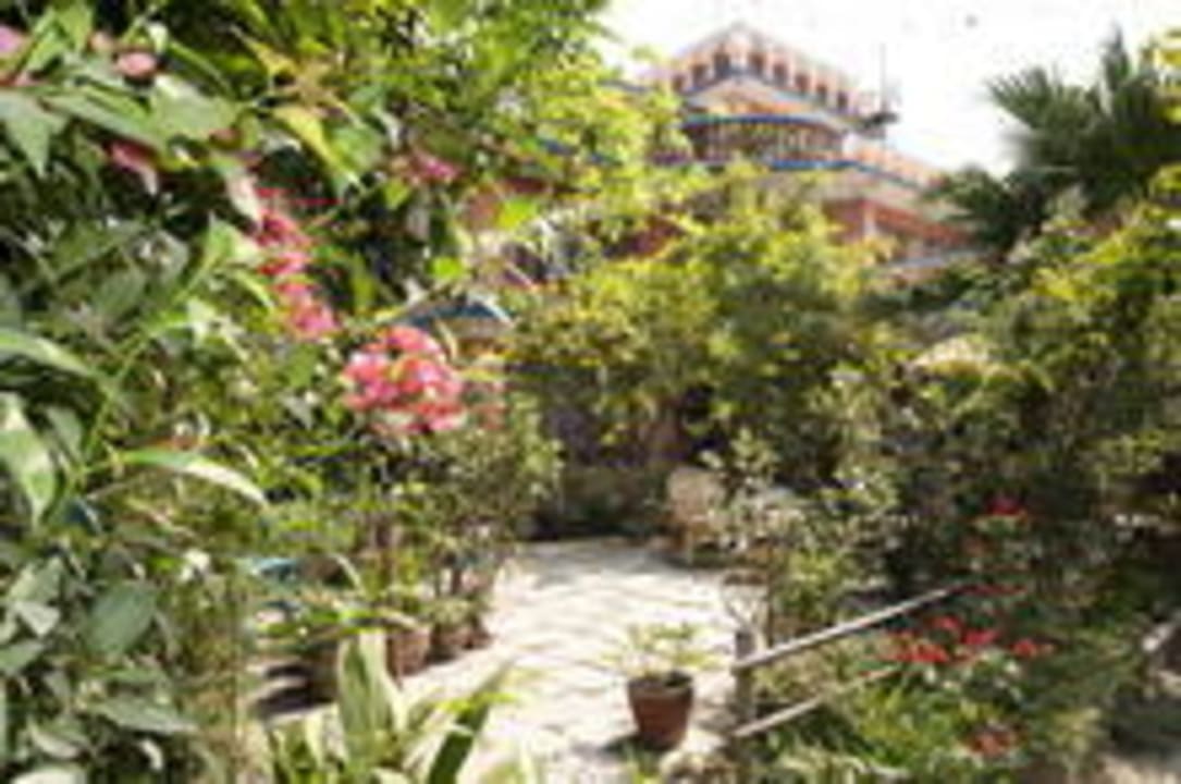 Unser Garten Trekkers Holiday Inn Guesthouse