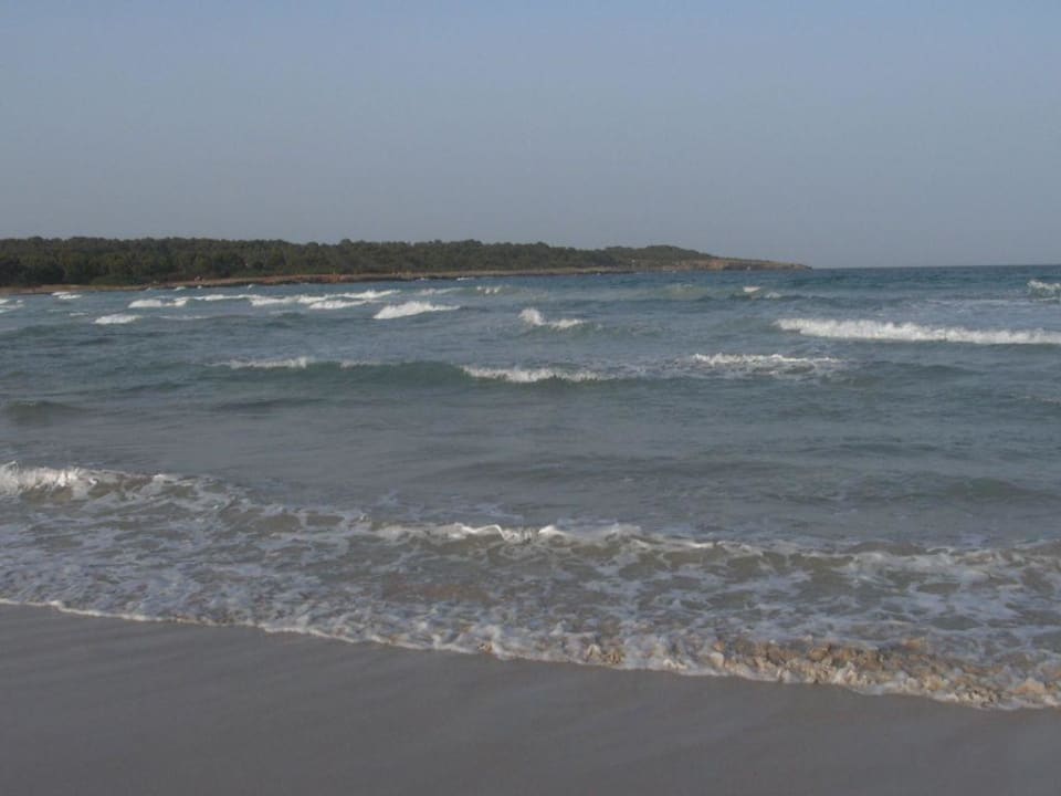 Meer Protur Palmeras Playa Aparthotel