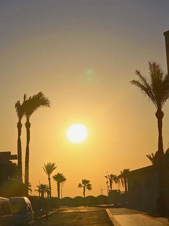 Ausblick Pickalbatros Aqua Blu Resort - Hurghada