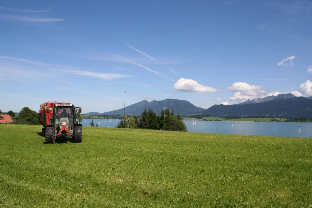 Mit dem Traktor am Forggensee Ferienwohnungen Salenberghof