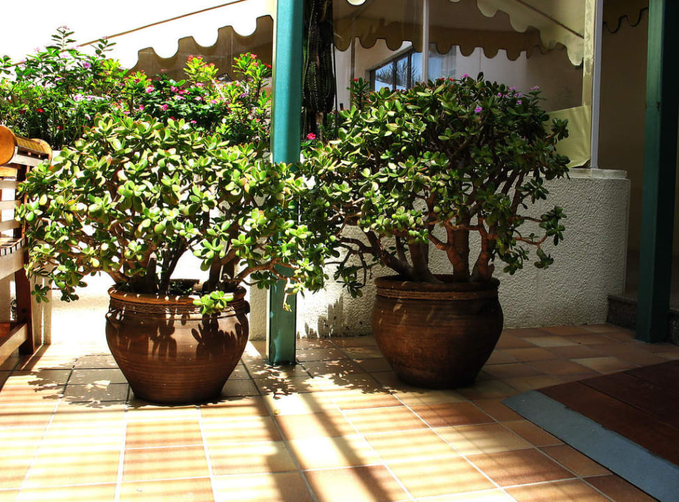 Hotel Principado Hotel Principado