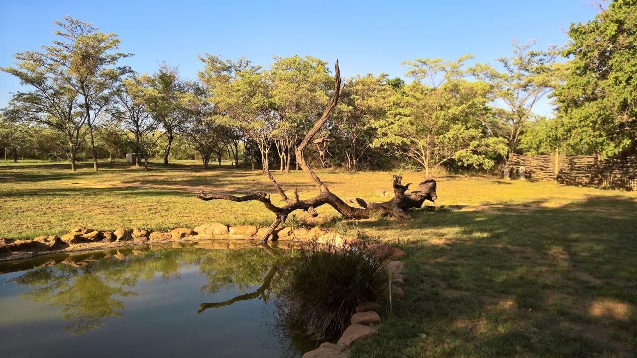Ausblick Ama Amanzi Bush Lodge