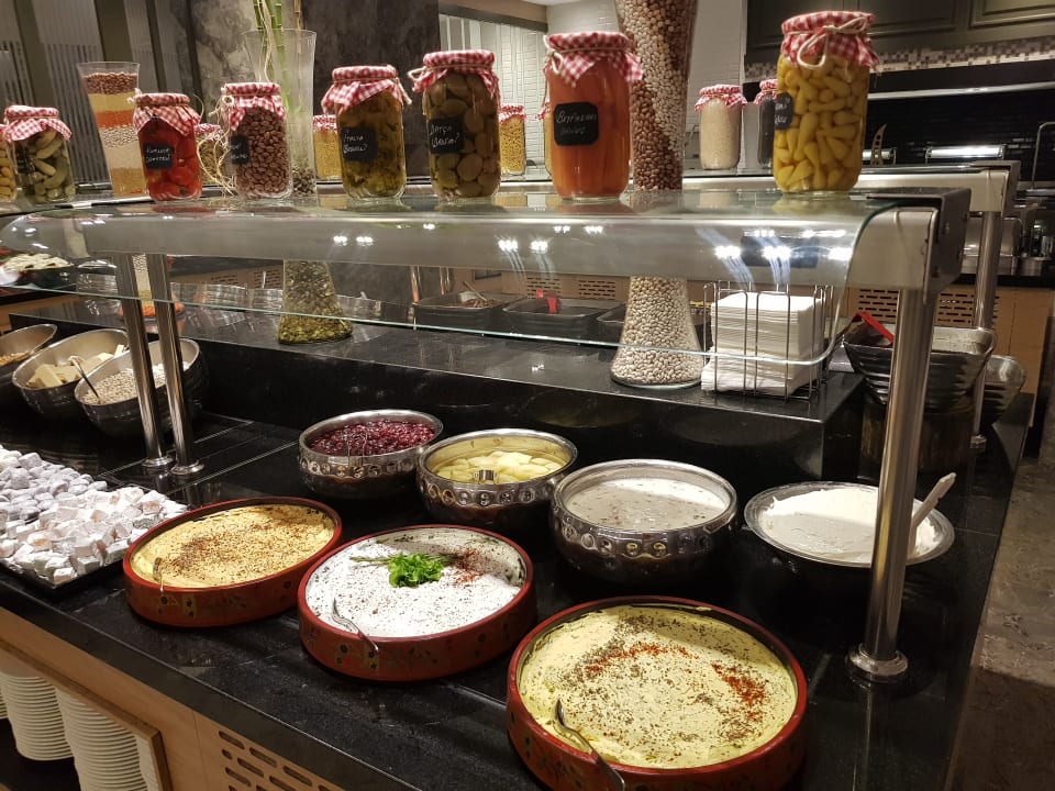 Gastro Seashell Vega