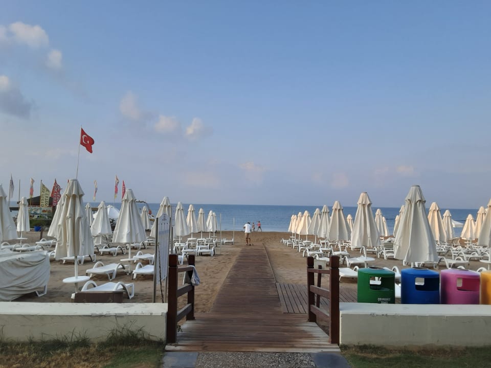 Strand Arum Barut Collection