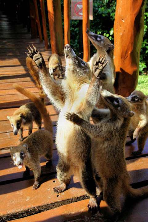 Жители отеля Grand Palladium Select White Sand Resort & Spa