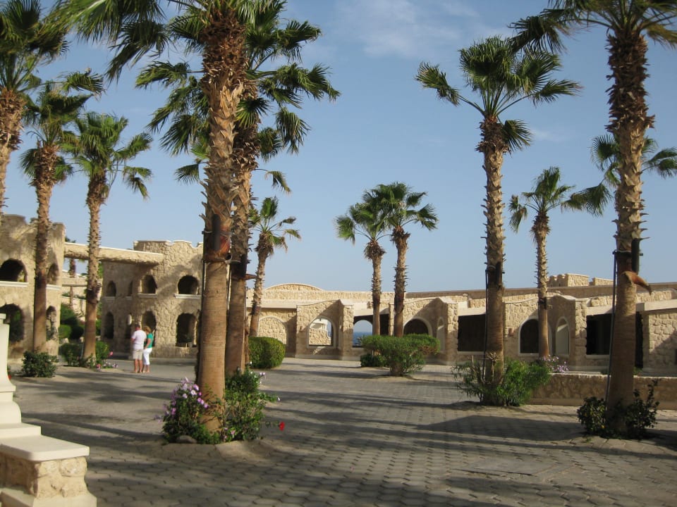 Hinter dem Palmen-Pool Pickalbatros Citadel Resort