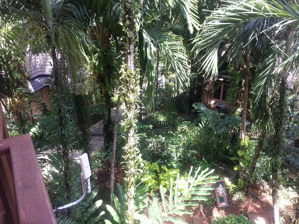 Dschungel Hotel Khao Lak Palm Beach Resort