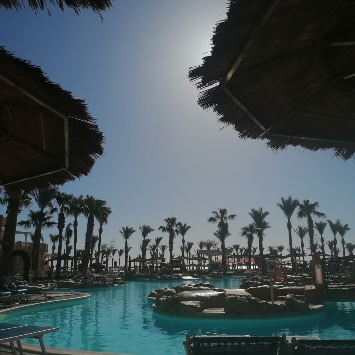 Pool Pickalbatros Palace Resort