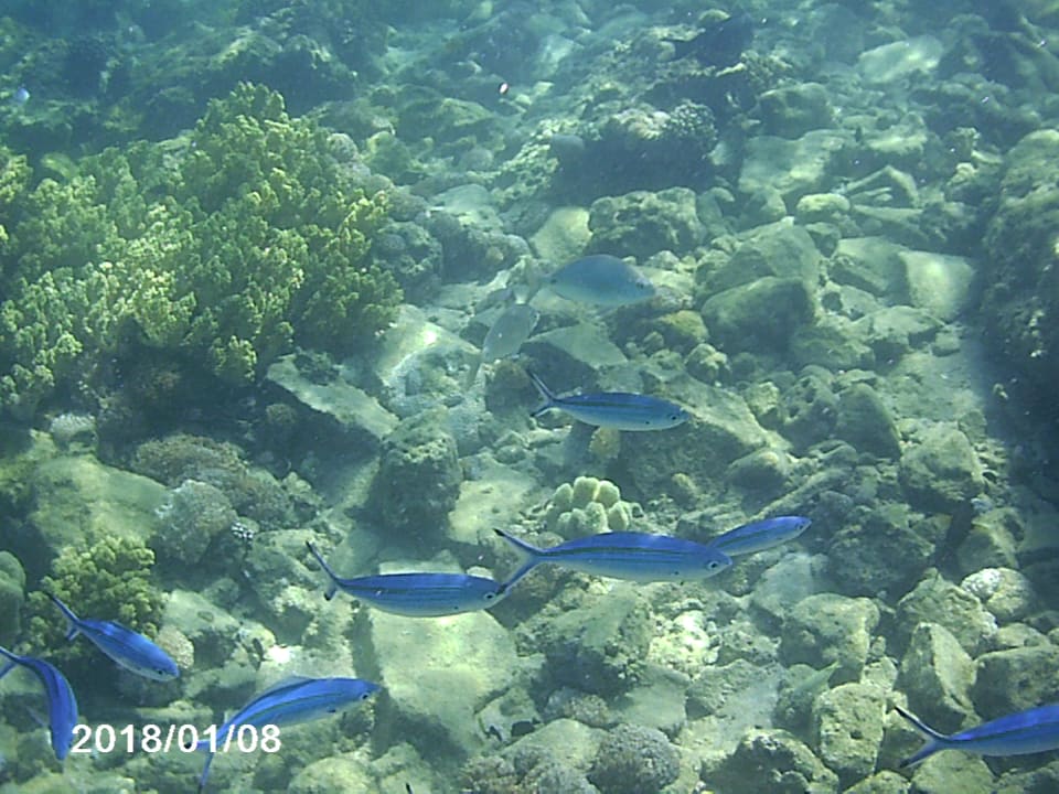 Pool Pickalbatros Aqua Park Resort - Hurghada