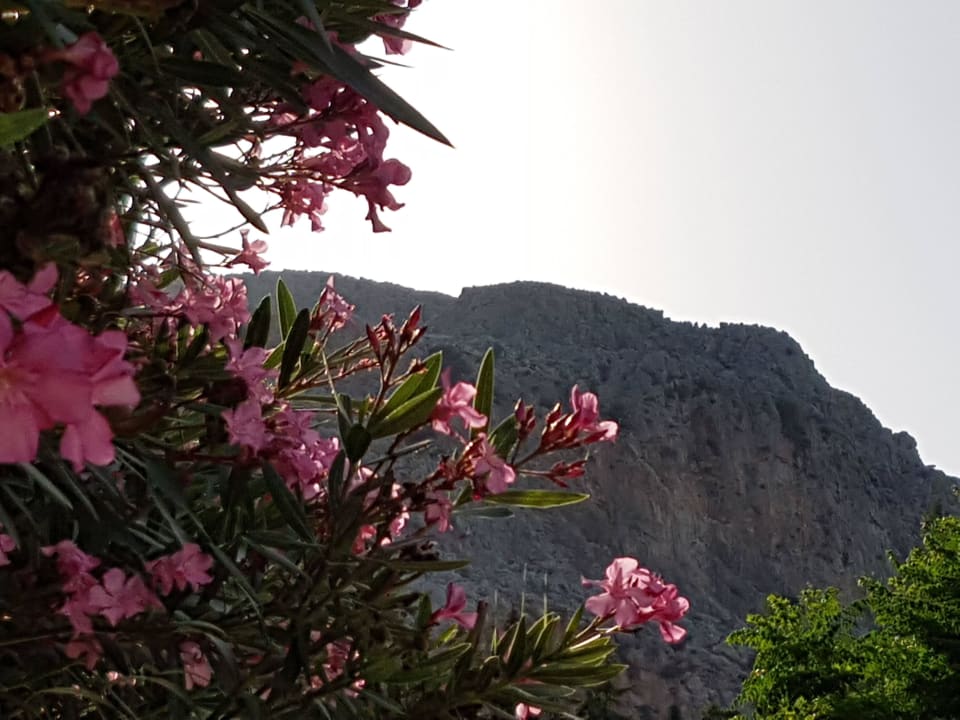 Blick hinter Anlage alltoura Club Hotel Porto Angeli Beach Resort