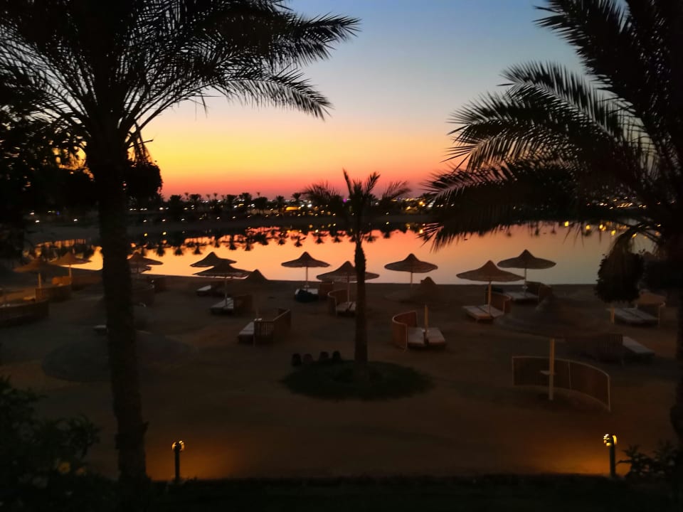 Ausblick Desert Rose