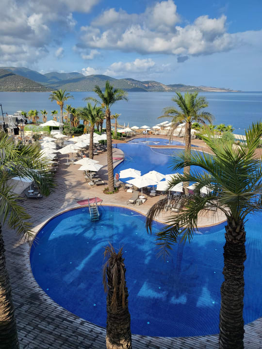 Pool The Plaza Bodrum