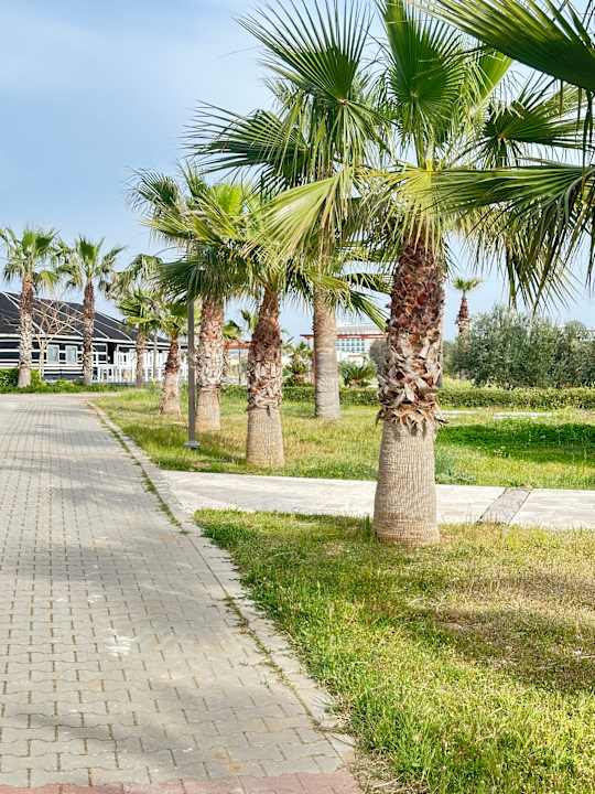 Außenansicht Calimera Serra Palace