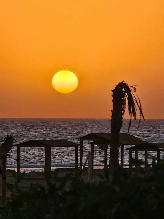 Ausblick Beach Safari Nubian Resort