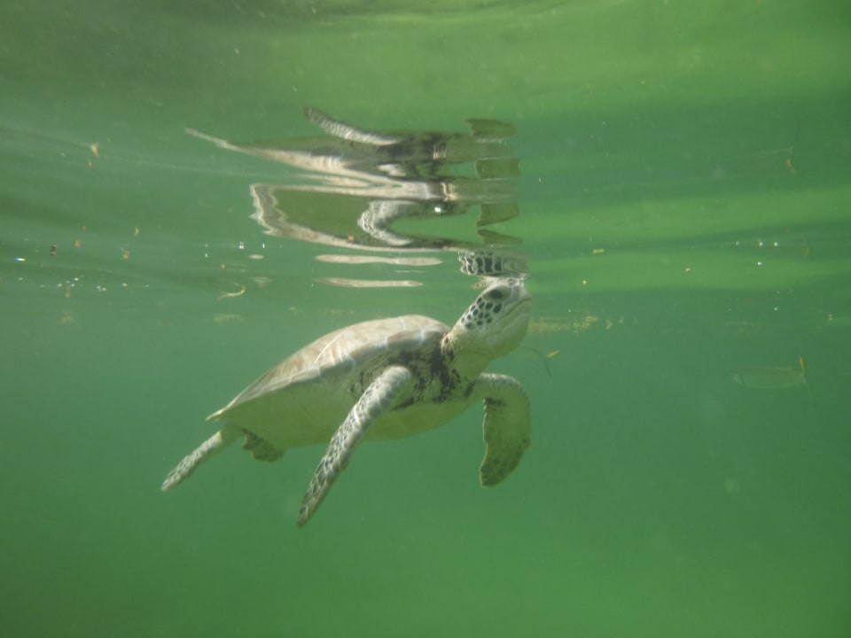 Strand Akumal Bay Beach & Wellness Resort