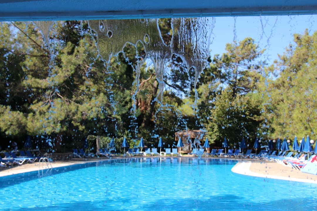 Pool Montana Pine Resort