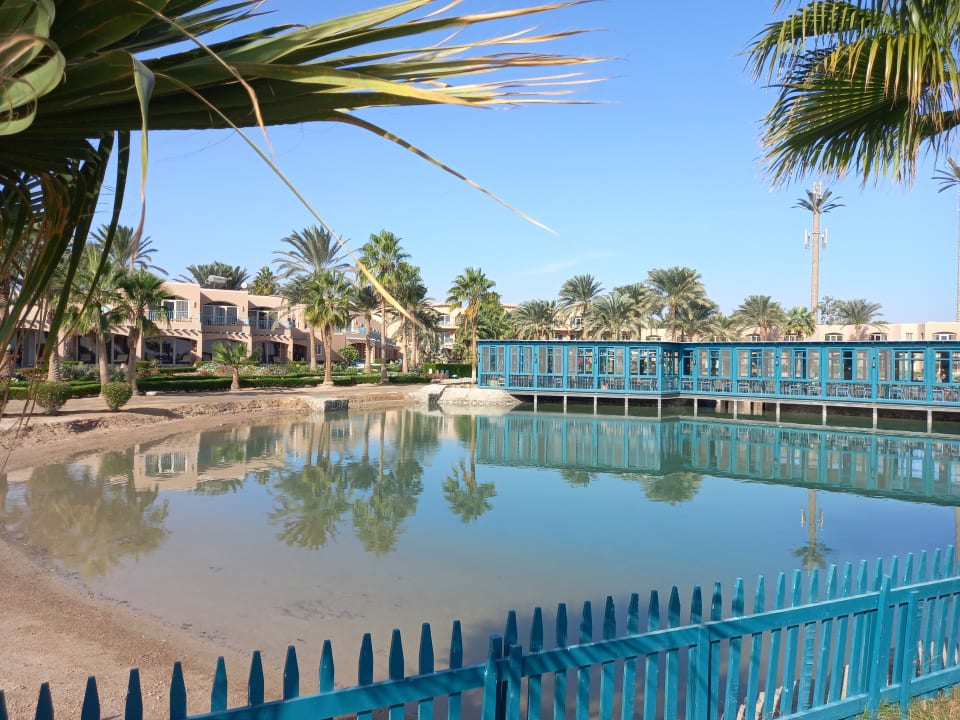 Gastro Club Paradisio El Gouna, Red Sea