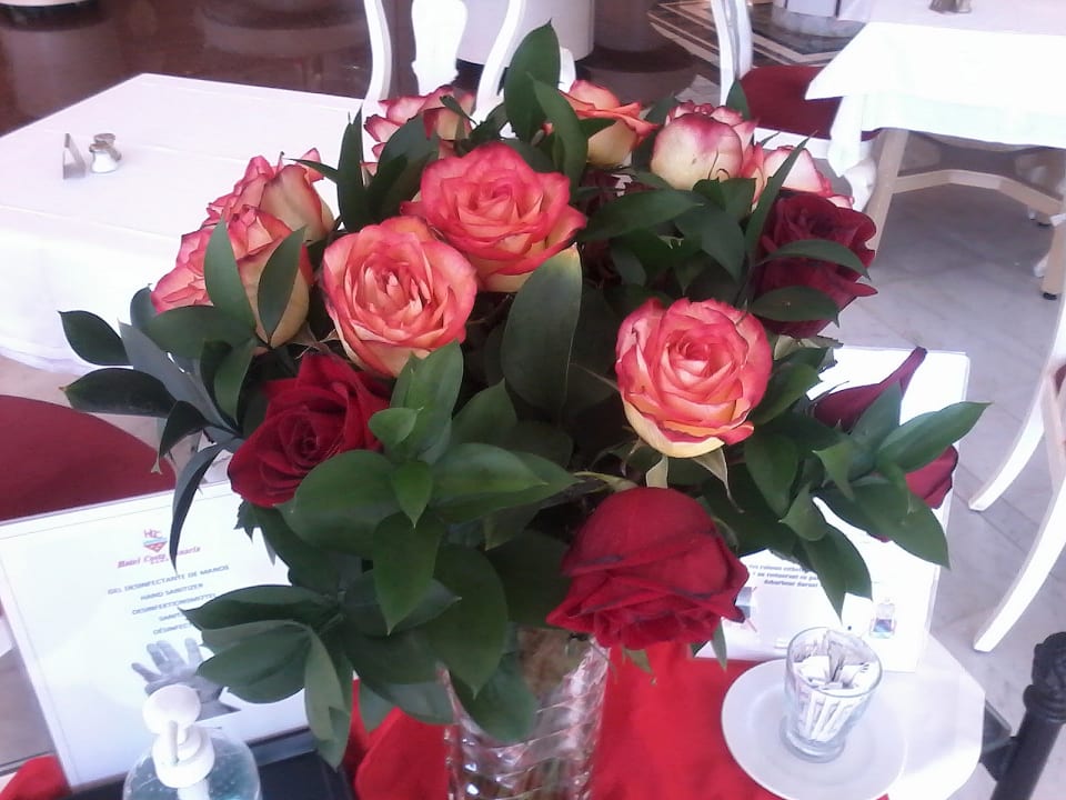 Sonstiges Bull Costa Canaria & Spa - Adults only