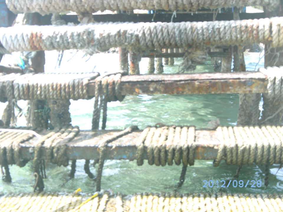Badesteg Menaville Safaga