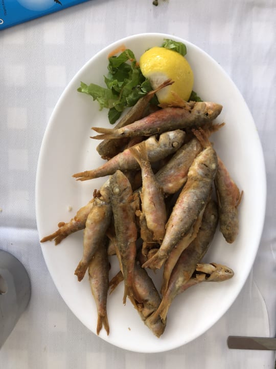 Gastro Hotel Maistrali