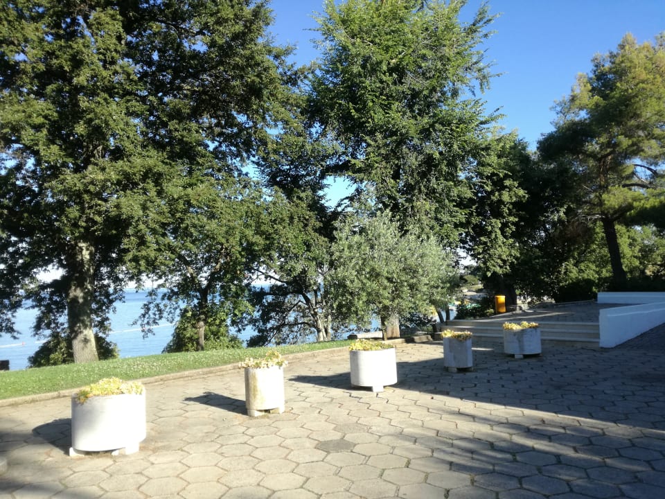 Ausblick Hotel Zorna Plava Laguna