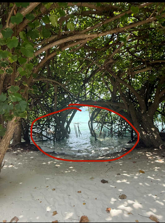 Außenansicht Embudu Village