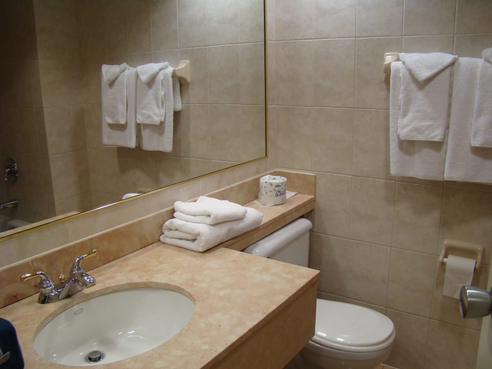 Łazienka Holiday Inn Niagara Falls