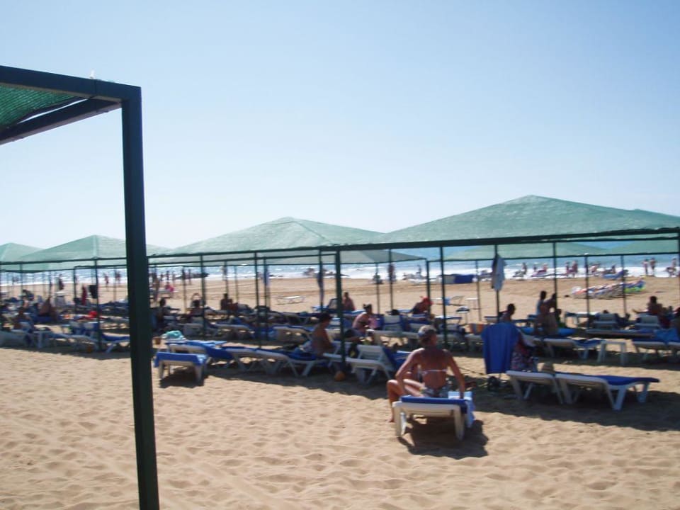 Hotelliegen Golden Coast VONRESORT Golden Coast