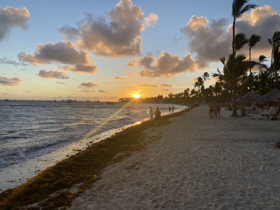 Strand Dreams Royal Beach Punta Cana