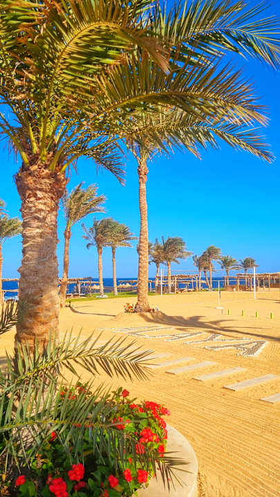 Strand Steigenberger Resort Alaya Marsa Alam - Red Sea - Adults only