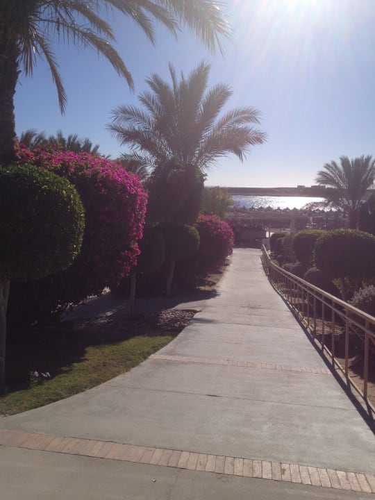 Ausblick auf Pool und Meer TUI MAGIC LIFE Kalawy