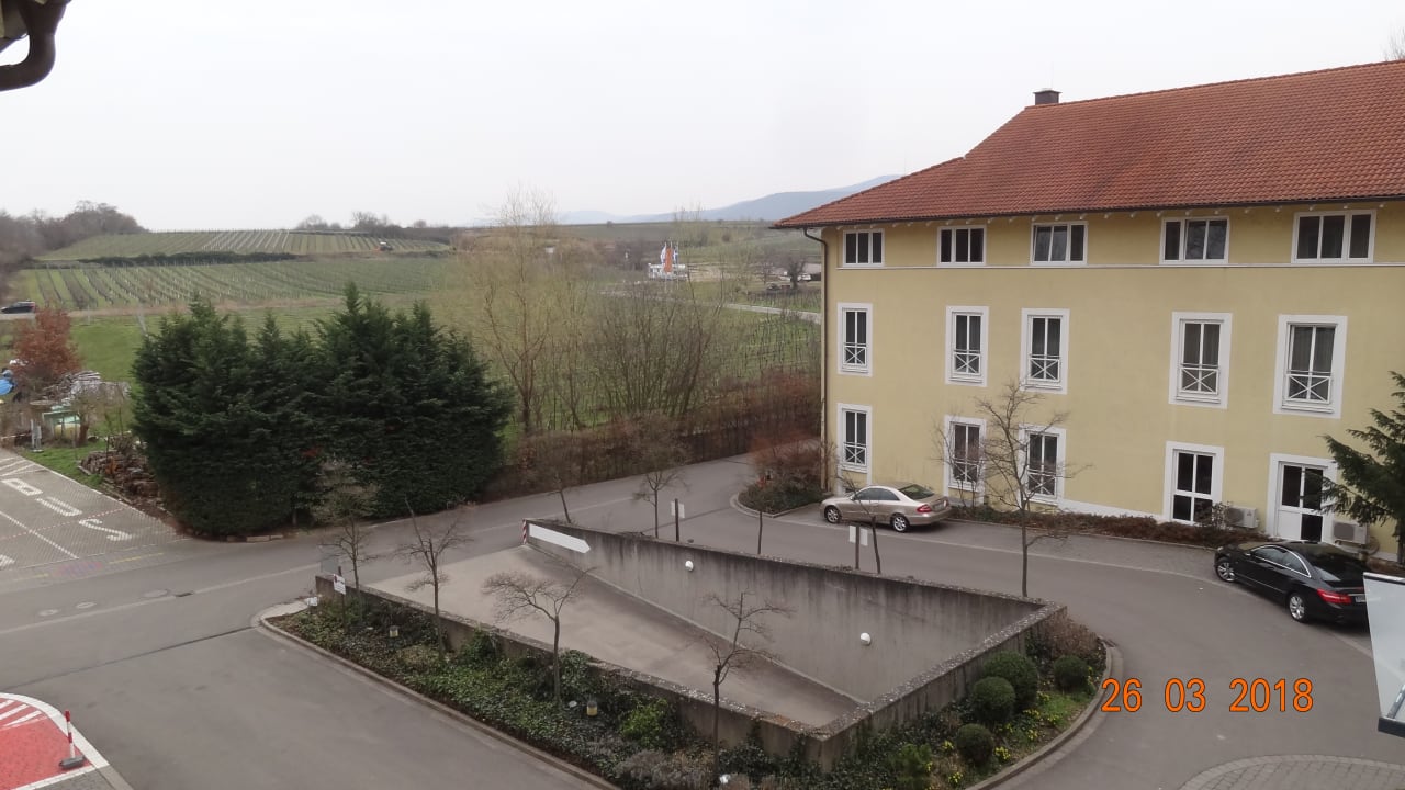 Aussicht vom Zimmer auf die Weinberge MAXX by Steigenberger Deidesheim