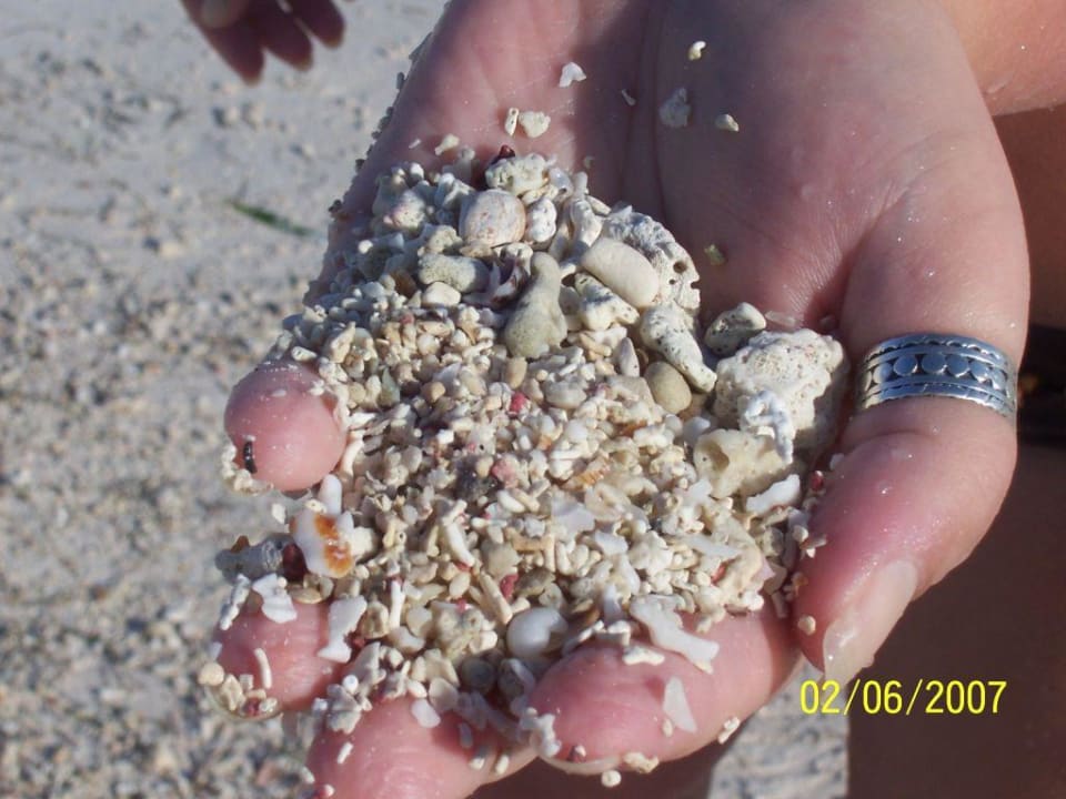 Sand, Korallen, Muscheln Akumal Bay Beach & Wellness Resort