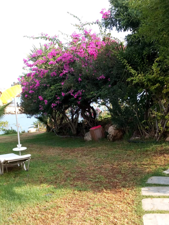 Gartenanlage Crystal Springs Beach Hotel