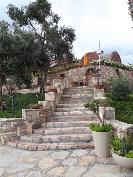 Gartenanlage Arum Barut Collection